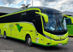 Passageiros denunciam falhas em ônibus da Pássaro Verde; empresa promete nova frota