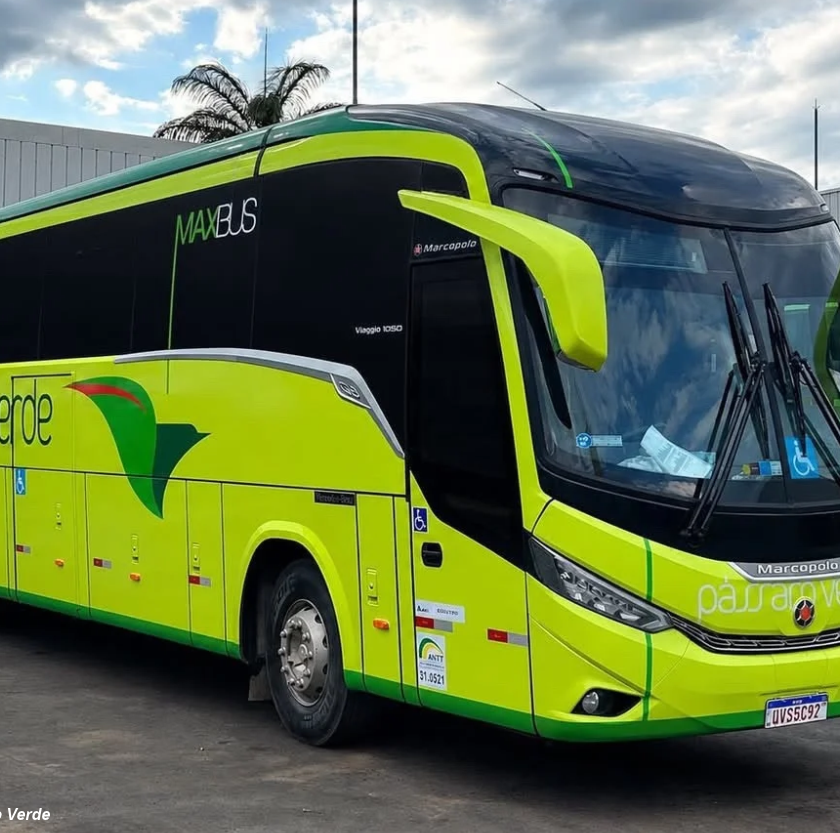Passageiros denunciam falhas em ônibus da Pássaro Verde; empresa promete nova frota