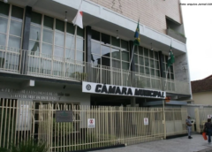 Câmara de Conselheiro Lafaiete aprova regras para cemitérios de pets e crematórios