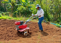 Tratoritos adquiridos por emenda de Matheus Pacheco fortalecem a agricultura familiar em Santa Rita de Ouro Preto